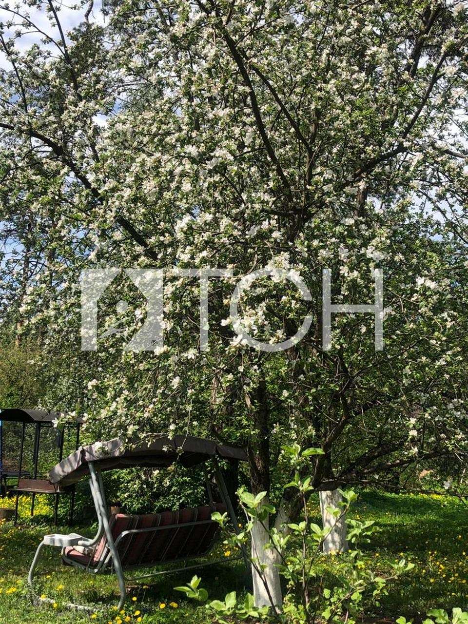 Куплю Участок В Королеве Недорого