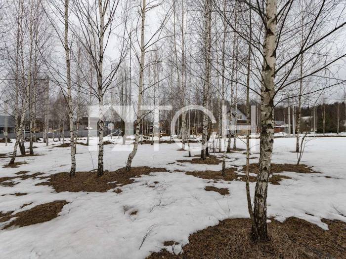 Дом, Пушкинский район #id303415