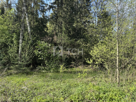 Земельный участок, г.о. Пушкинский, деревня Могильцы, #id1599837