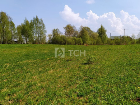 Земельный участок, Владимирская область, Александровский район, деревня Тургенево, #id359750