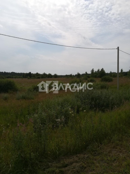 Земельный участок, Можайский г.о., деревня Цыплино, #id1226039