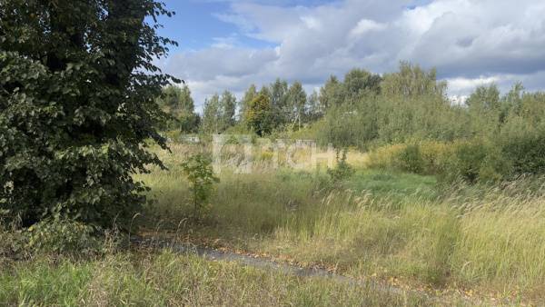 Земельный участок, Богородский г.о., село Воскресенское, 71, #id2337914