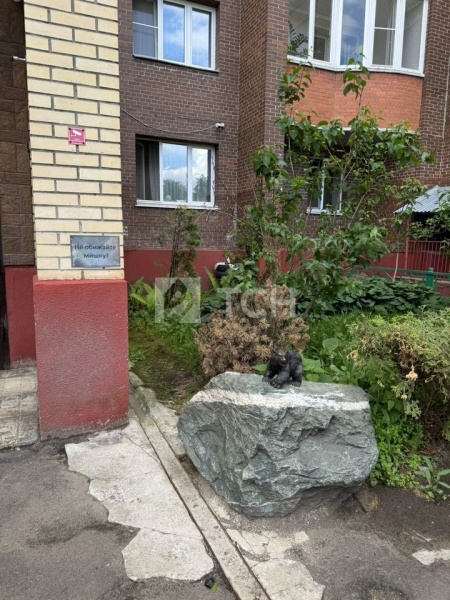 1-комн. квартира, посёлок Биокомбината, 16, #id1215052