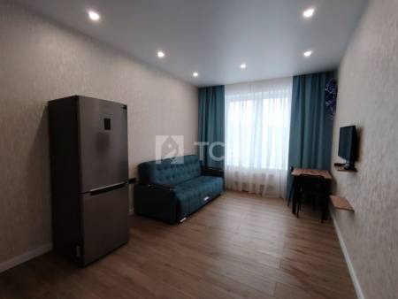 Квартира-студия, посёлок Вёшки, Третьяковская улица, 1, #id1993592