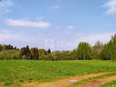 Земельный участок, Владимирская область, Александровский район, деревня Тургенево, #id359750