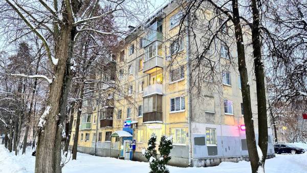 2-комн. квартира, Пушкино, Московский проспект, 28, #id1993495