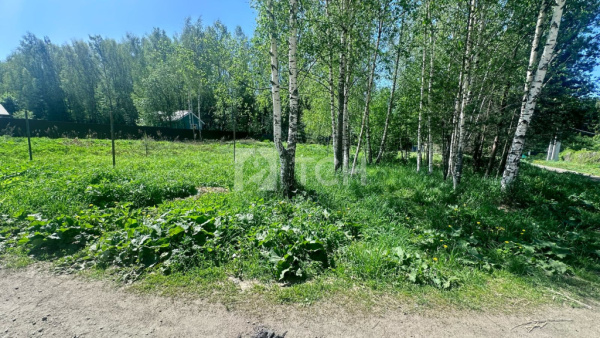 Земельный участок, г.о. Пушкинский, посёлок городского типа Зеленоградский, Речная улица, #id1613142