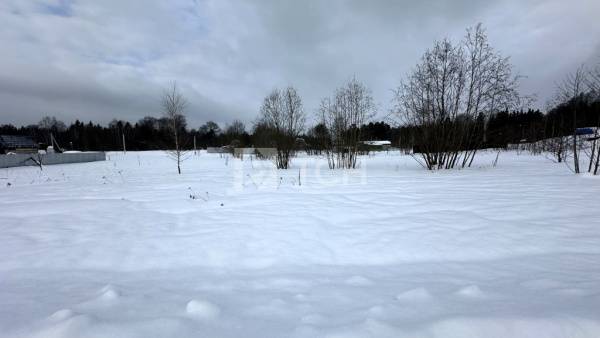 Земельный участок, г.о. Щёлково, деревня Вторая Алексеевка, Детская улица, #id2045362