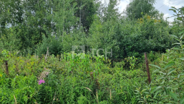 Земельный участок, г.о. Пушкинский, посёлок Лесные Поляны, #id1729035