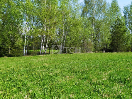 Земельный участок, Владимирская область, Александровский район, деревня Тургенево, #id359750