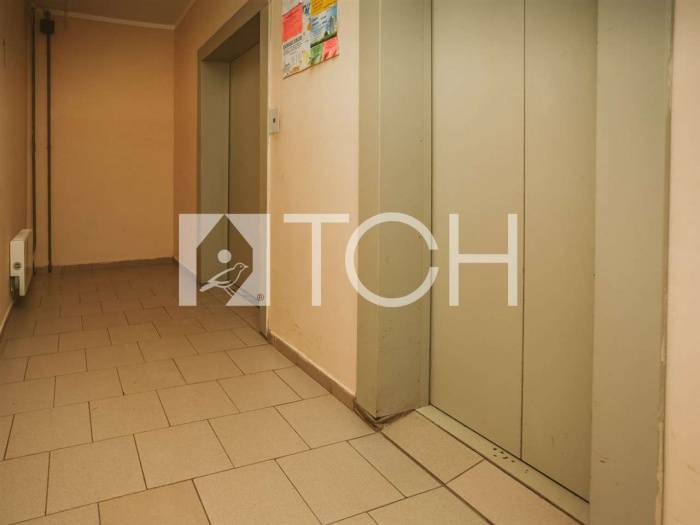 1-комн. квартира, Аничково, ул без улицы, 5 #id227350