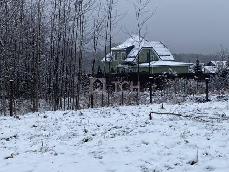 Дом, г.о. Пушкинский, деревня Бортнево, #id1743229