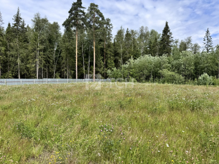 Земельный участок, г.о. Пушкинский, деревня Могильцы, #id1651365