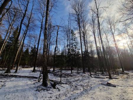 Земельный участок, г.о. Пушкинский, село Левково, #id1984635