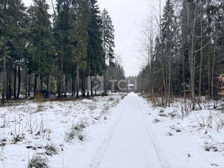 Земельный участок, г.о. Пушкинский, деревня Могильцы, #id1982786