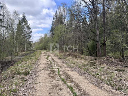 Земельный участок, г.о. Пушкинский, деревня Могильцы, #id1582164