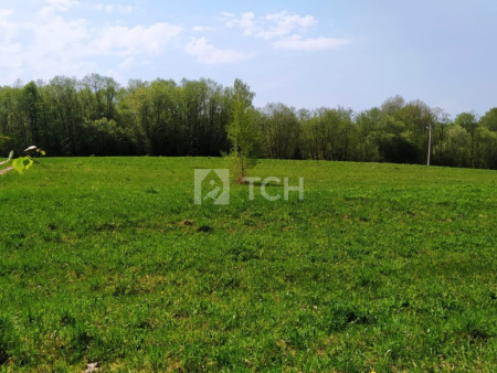 Земельный участок, Владимирская область, Александровский район, деревня Тургенево, #id359750