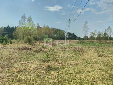 Земельный участок, Богородский г.о., Ногинск, Ново-Богородская улица, #id1570956