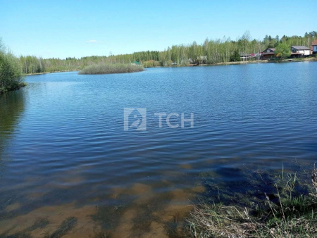 Земельный участок, г.о. Щёлково, деревня Малые Петрищи, #id1293267