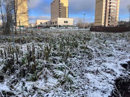 Земельный участок, г.о. Пушкинский, посёлок городского типа Зеленоградский, Речная улица, #id1613142