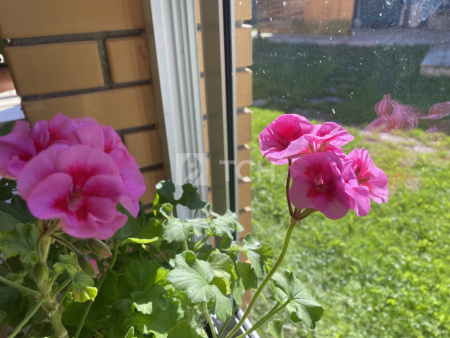 Дом, Сергиево-Посадский г.о., деревня Слабнево, #id1210671