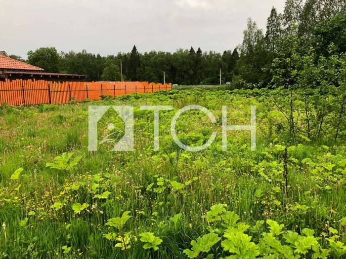 Участок, Пушкинский, с/т Апрель #id265761