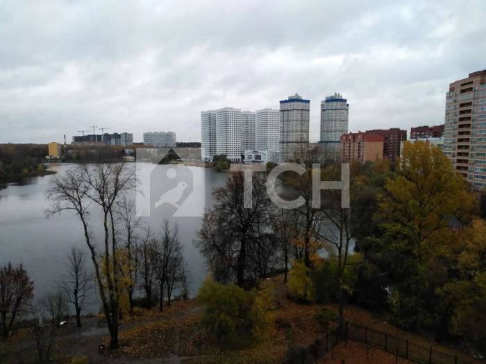 3-комн. Квартира, Пушкино, Московский проспект, 57к4, #id543619