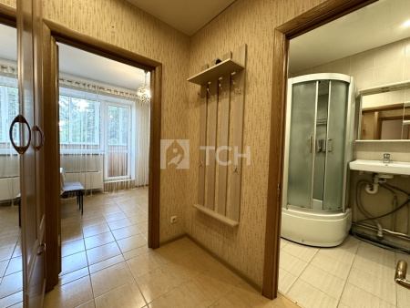 1-комн. квартира, Пушкино, Институтская улица, 11, #id1145414