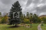 1-комн. Квартира, Пушкино, Ярославское шоссе, 178, #id499842