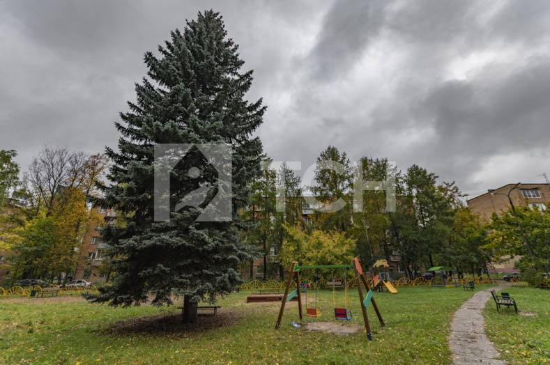 1-комн. Квартира, Пушкино, Ярославское шоссе, 178, #id499842