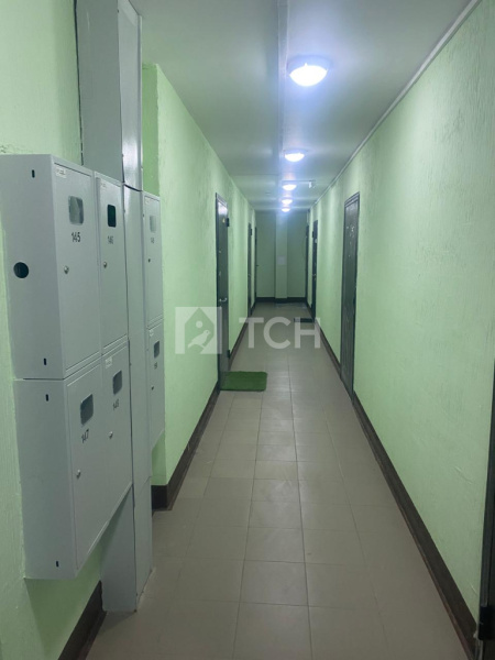 Квартира-студия, деревня Большие Жеребцы, 1к1, #id1540992