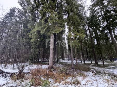 Земельный участок, г.о. Пушкинский, деревня Могильцы, #id1982786