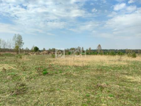 Земельный участок, Богородский г.о., Ногинск, Ново-Богородская улица, #id1570956