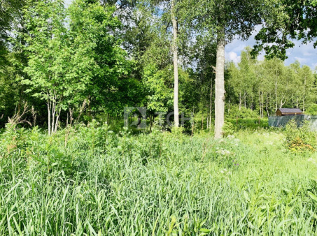 Земельный участок, Дмитровский г.о., коттеджный посёлок Медовое, улица Братьев Политовых, #id1229032