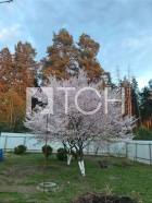 Дом, Лосино-Петровский #id303944