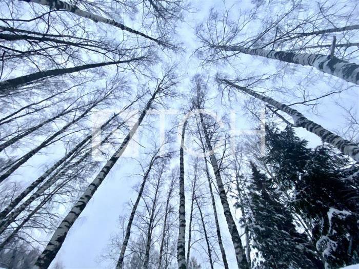 Участок, Витенево #id297452