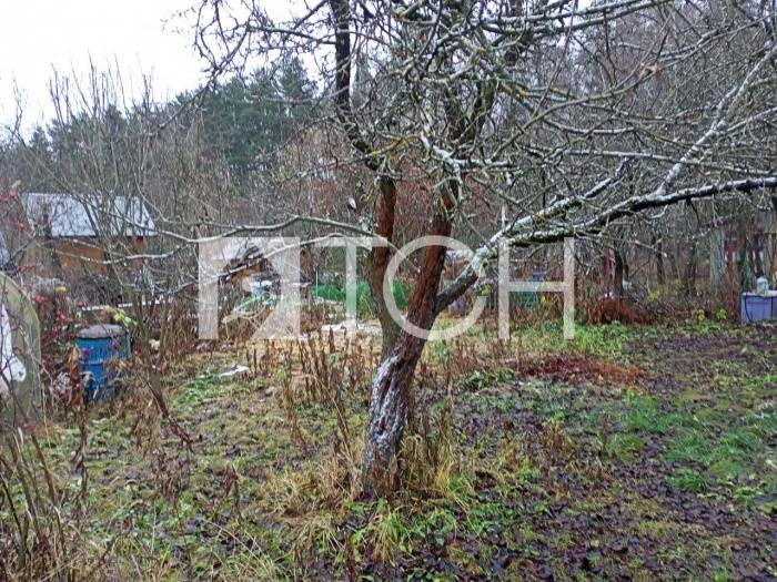 Дом, Королев, СНТ СНТ Энергия-2 #id272596