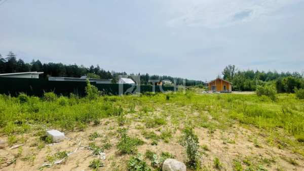 Земельный участок, г.о. Лосино-Петровский, деревня Митянино, Березовая улица, #id1403692