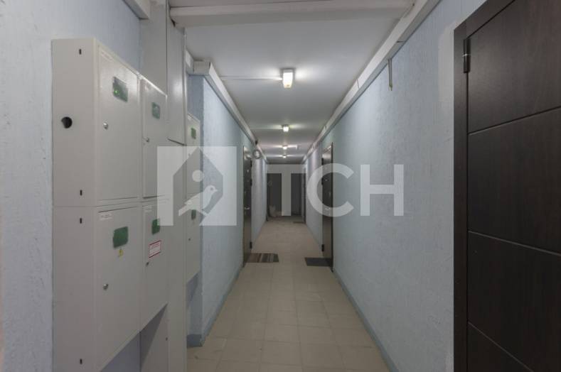 1-комн. Квартира, деревня Большие Жеребцы, микрорайон Восточный, 1к3, #id451340