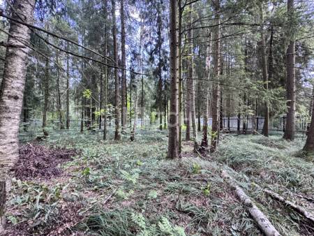 Земельный участок, г.о. Пушкинский, деревня Могильцы, #id1906960