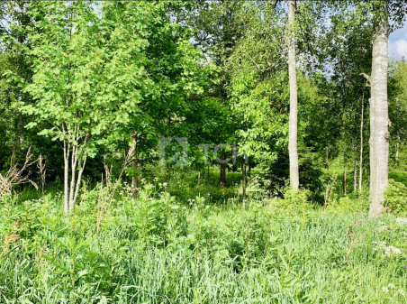 Земельный участок, Дмитровский г.о., коттеджный посёлок Медовое, улица Братьев Политовых, #id1229032