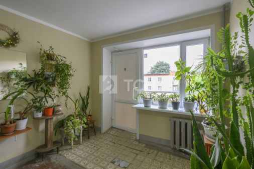 2-комн. квартира, Пушкино, улица Л. Толстого, 23, #id1732185