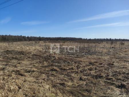 Земельный участок, г.о. Щёлково, деревня Огуднево, #id1571671