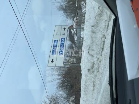 Дом, г.о. Луховицы, село Любичи, Советская улица, 27, #id994201