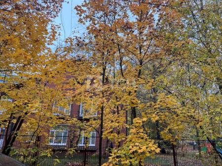 2-комн. квартира, посёлок Здравница, улица Дубки, 5, #id1495892