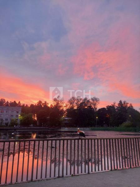 1-комн. квартира, Королёв, улица К.Д. Трофимова, 16, #id1846146