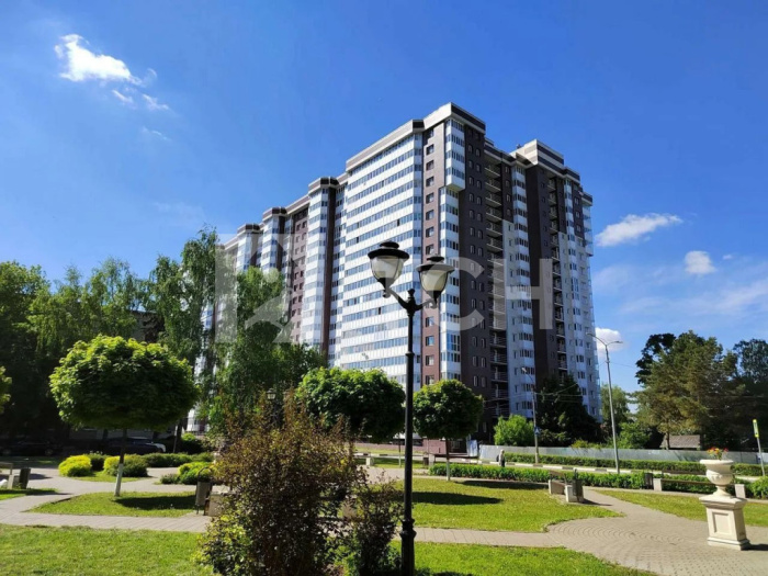 1-комн. Квартира, Старая Купавна, Октябрьская улица, 14А, #id405663