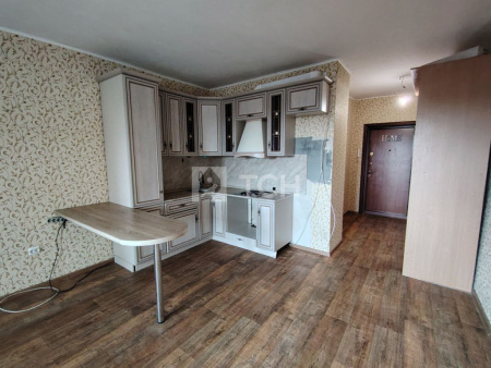 Квартира-студия, деревня Павлино, 67, #id1655066