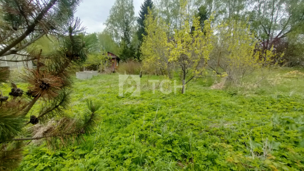 Земельный участок, г.о. Лосино-Петровский, деревня Корпуса, #id1101438