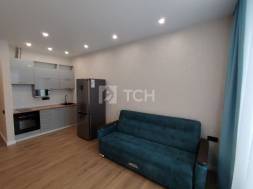 Квартира-студия, посёлок Вёшки, Третьяковская улица, 1, #id1993592